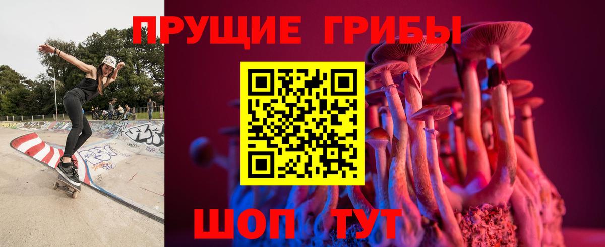 Псилоцибиновые грибы мицелий  Псилоцибиновые грибы прущие грибы  Вход с VPN  Сургут 